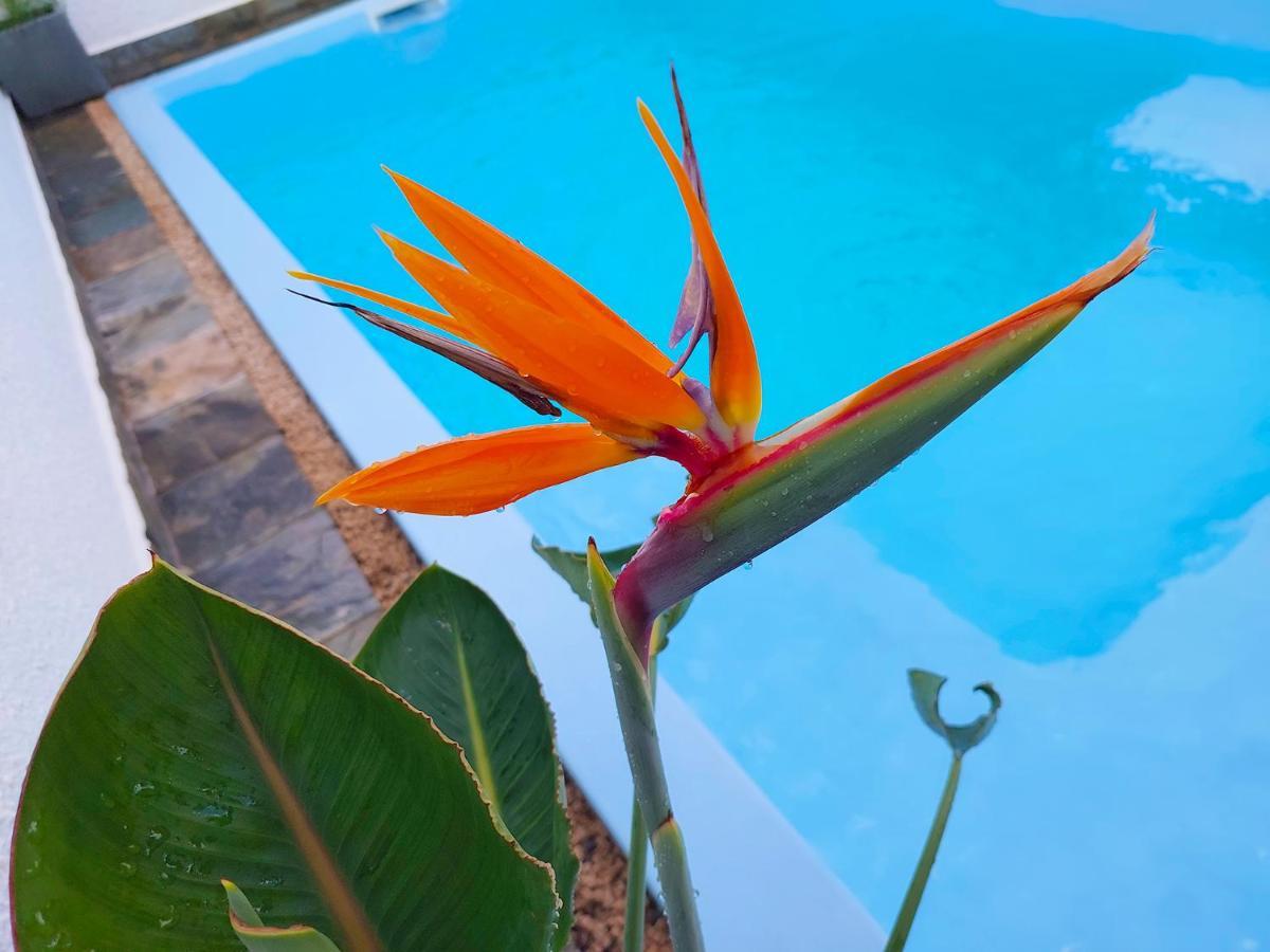 Golden Square Villa & Private Pool Flic-en-Flacq Εξωτερικό φωτογραφία